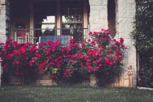 Lyon Park, Virginia